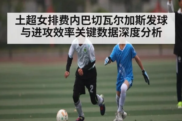土超女排费内巴切瓦尔加斯发球与进攻效率关键数据深度分析